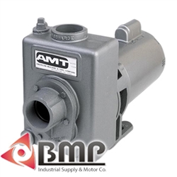 2" Stainless Steel & Cast Iron Pump AMT 2761-98